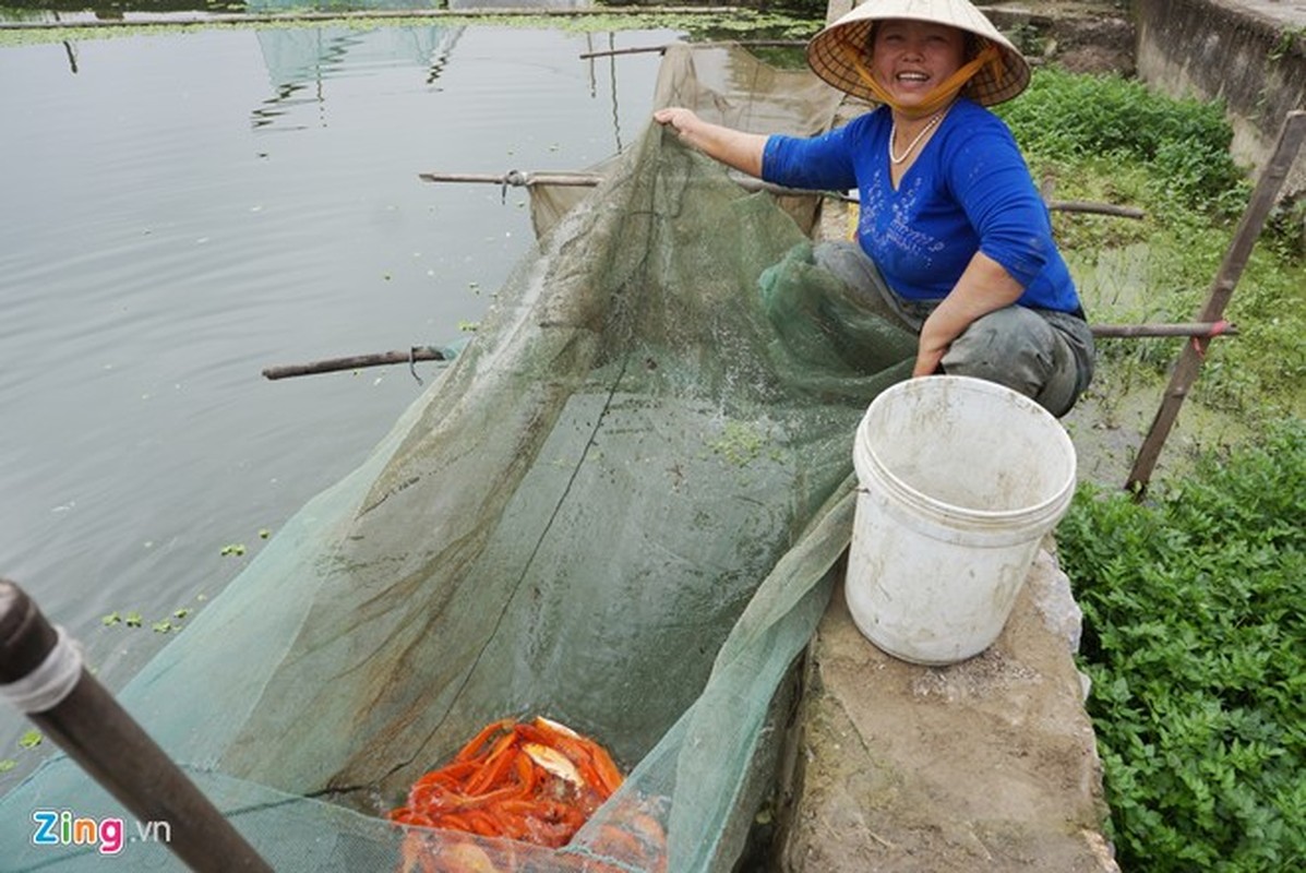 Anh: Loi bun thu hoach ca chep truoc ngay ong Tao ve troi-Hinh-6