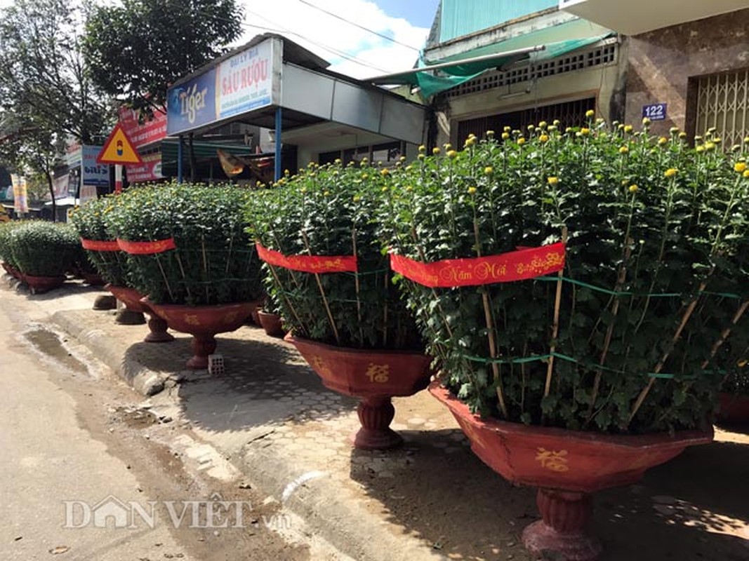 Hoa Tet vung lu bat dau ra pho voi gia... “tren troi“-Hinh-4