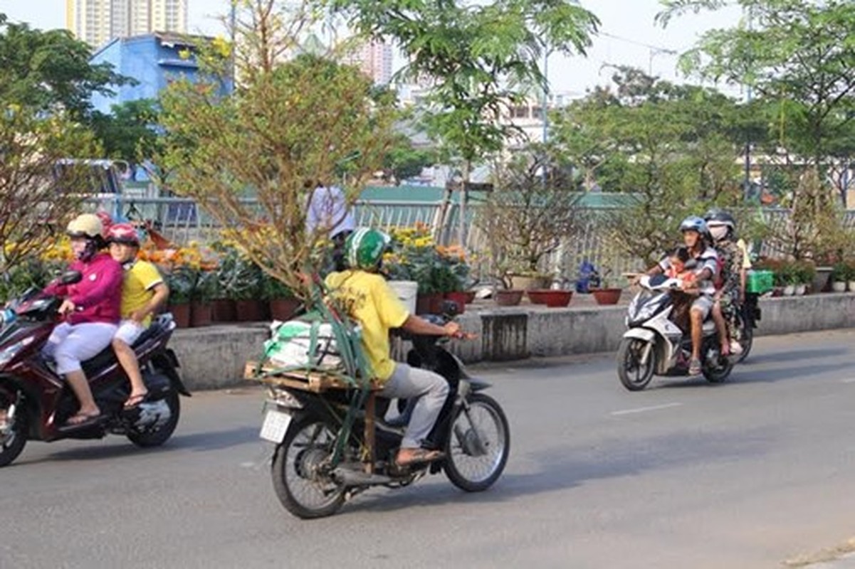 Diu hiu cho hoa Tet tren song lau doi nhat Sai Gon-Hinh-4