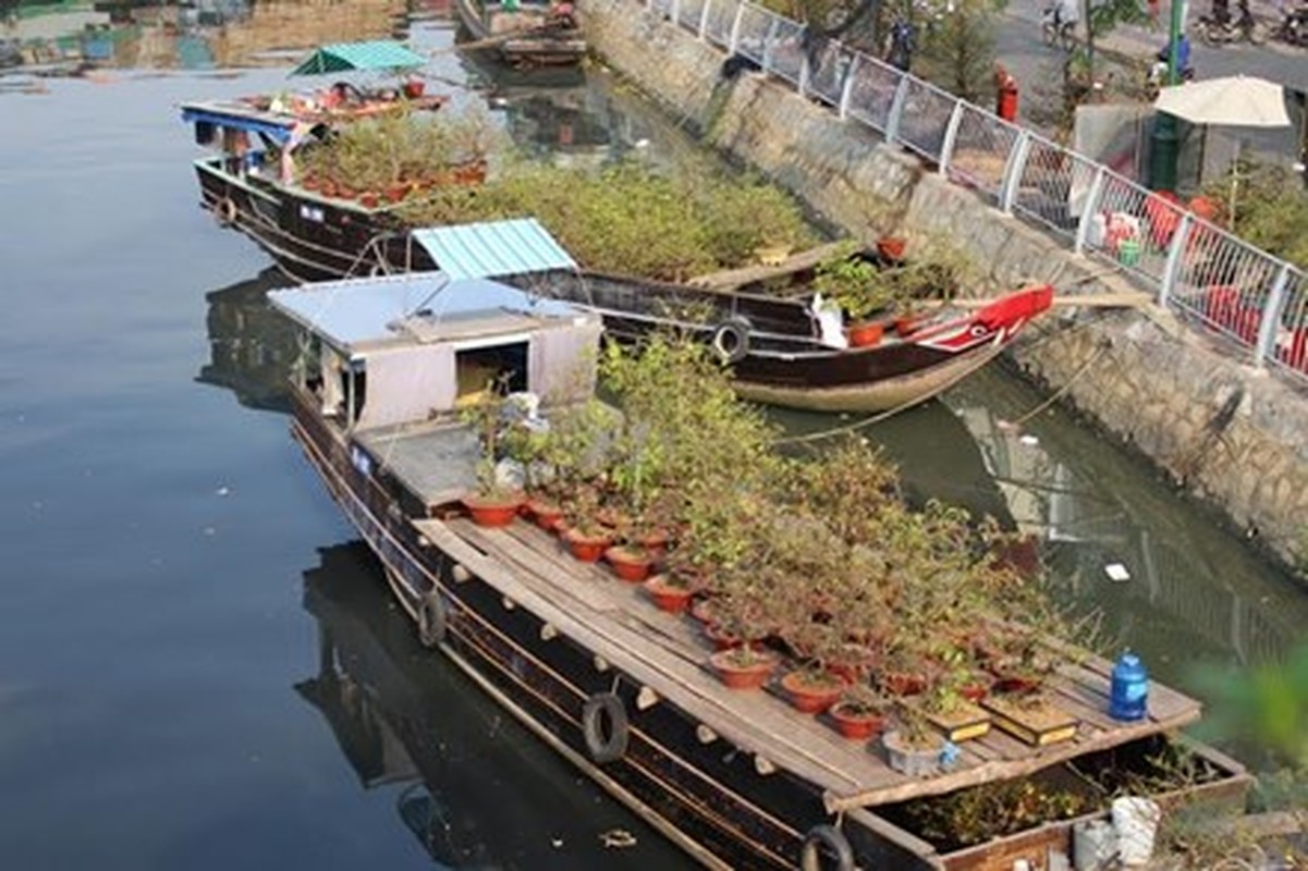 Diu hiu cho hoa Tet tren song lau doi nhat Sai Gon