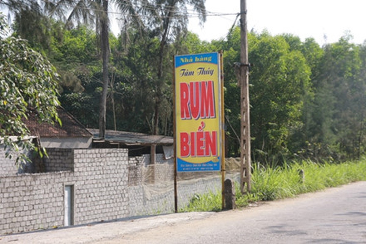 Ngu dan do xo bat rum bien - than duoc tang cuong “chuyen ay“-Hinh-11