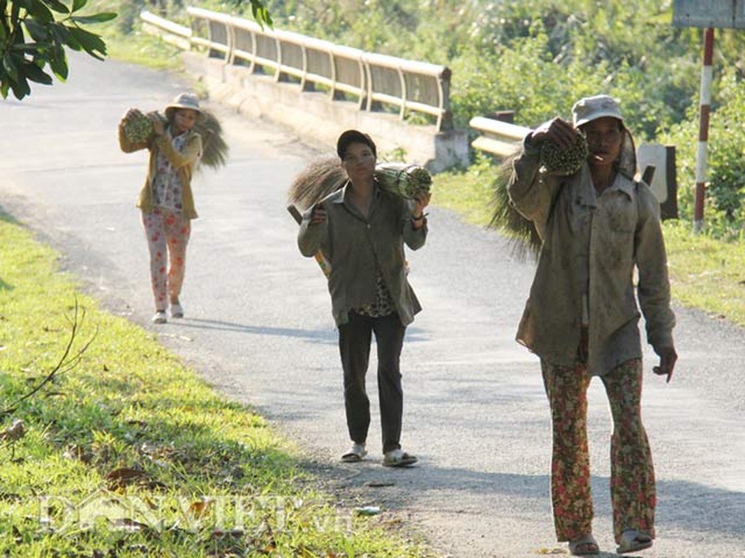 Quang Ngai: Mua “loc rung” kem vui vi mua lanh-Hinh-2