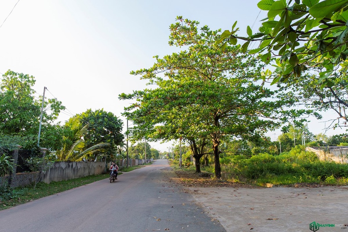 Anh: Ve dep ma mi cua hoang hon va binh minh tren ho Tri An-Hinh-7