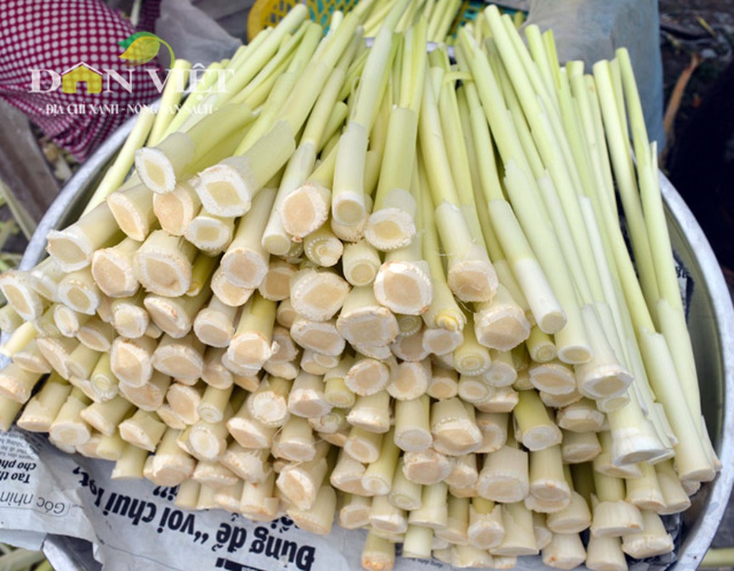 Gion ngon dua bon bon dac san Dat Mui-Hinh-5