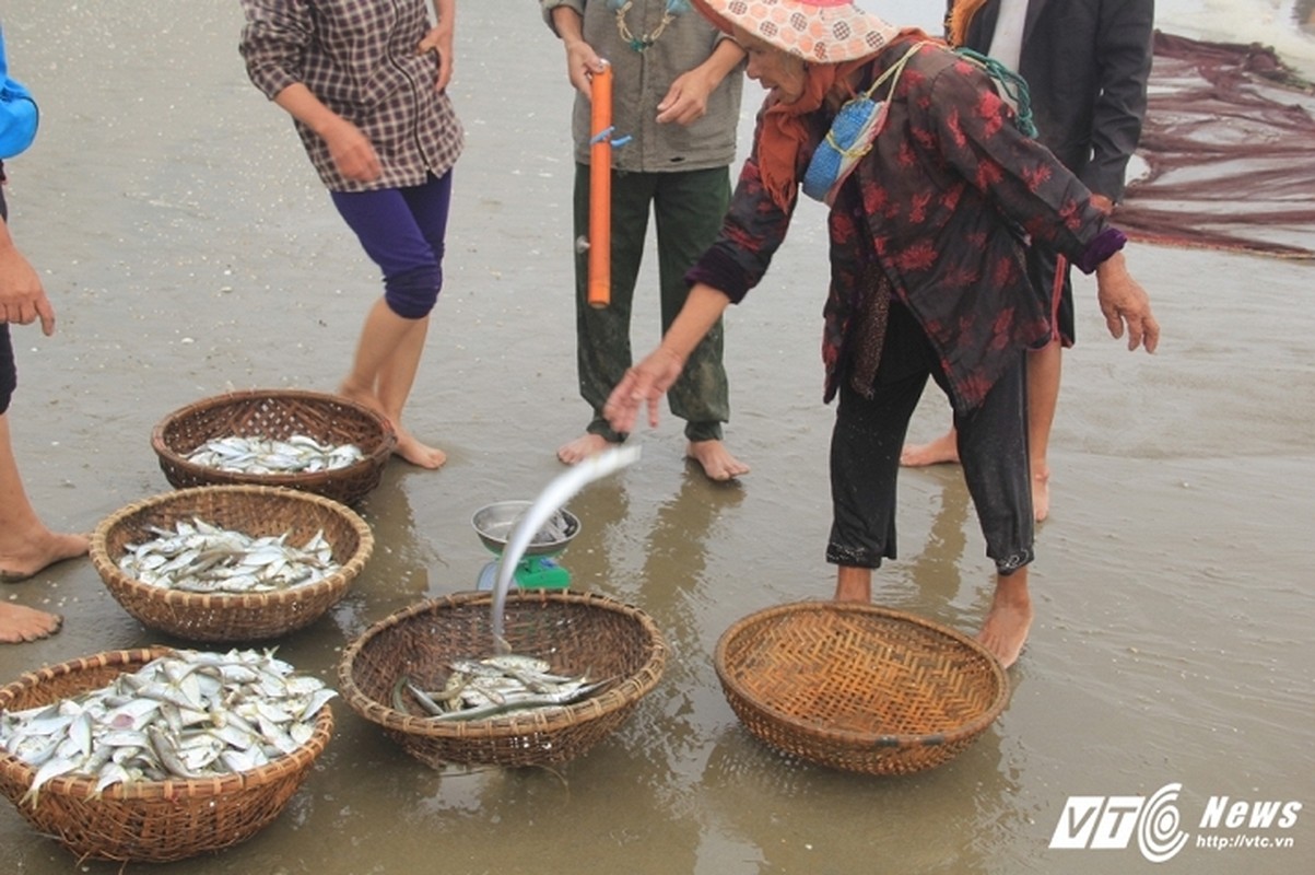 Ngu dan Ha Tinh thu bac trieu moi ngay tu “loc bien“-Hinh-8