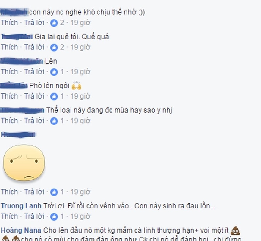 Cuoc khau chien giua vo va bo nhi khien dan mang tro mat-Hinh-10