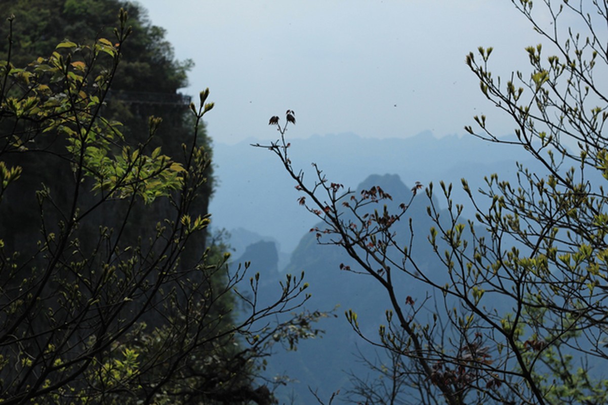 Di tim thien duong va cong troi o Truong Gia Gioi-Hinh-3