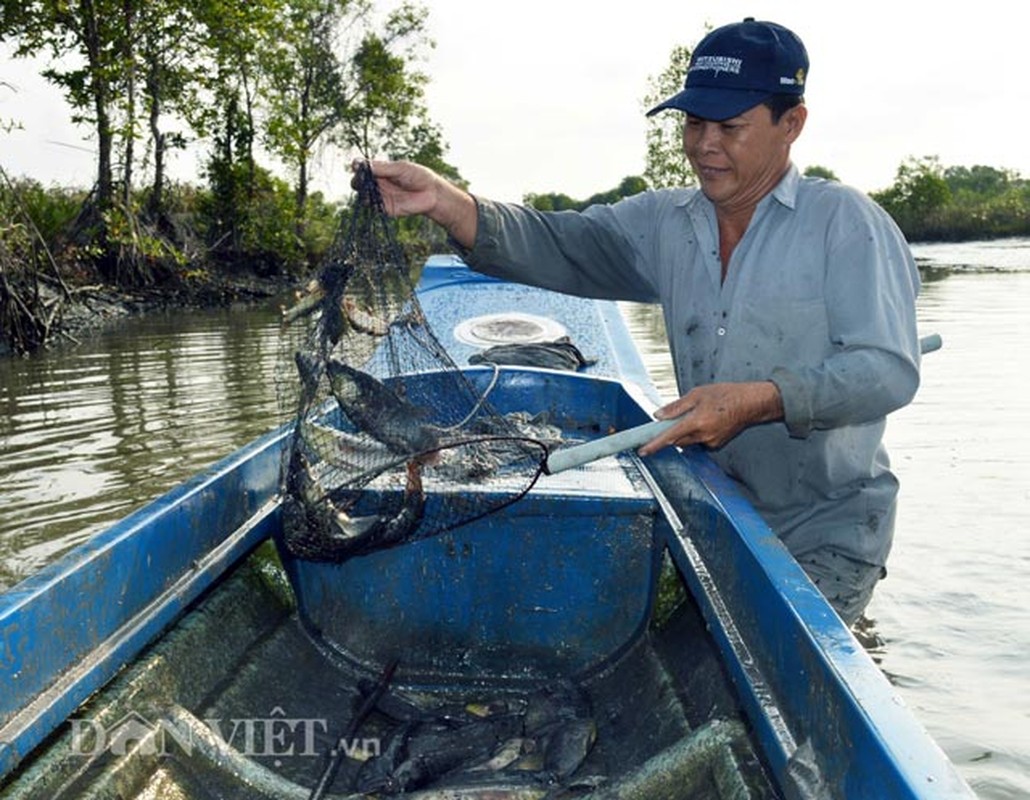 Doc dao dung re cay thuoc ca de bat ca-Hinh-3