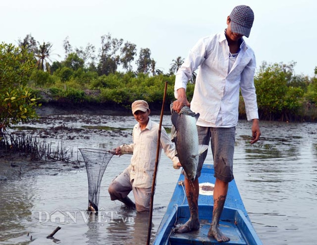 Doc dao dung re cay thuoc ca de bat ca-Hinh-5