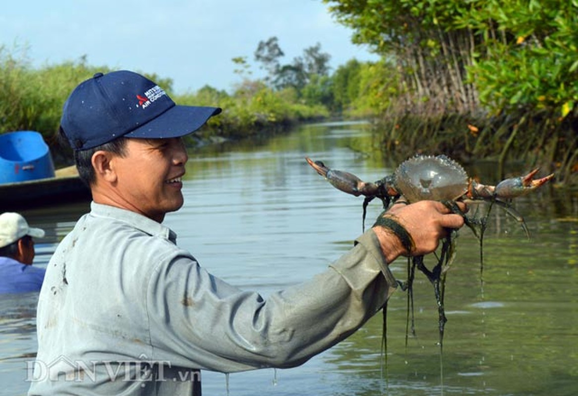 Doc dao dung re cay thuoc ca de bat ca-Hinh-9