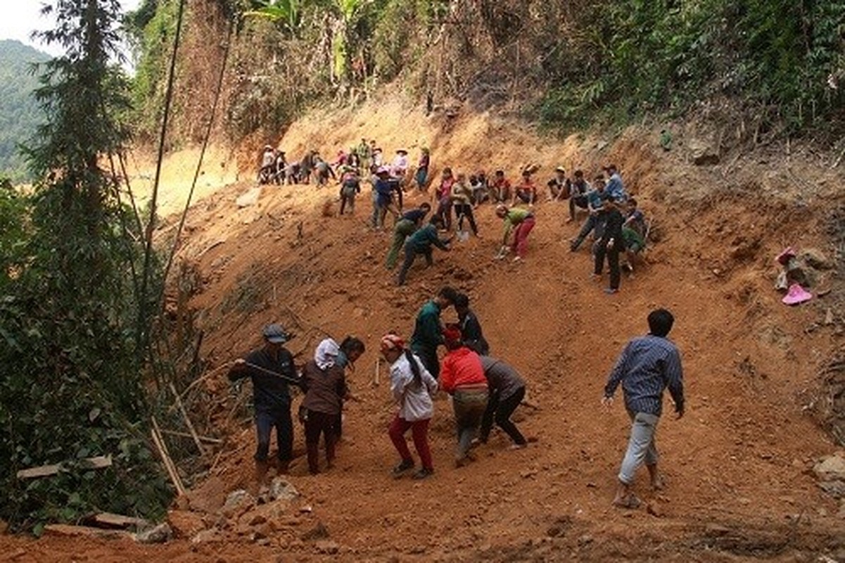 Cam lan, ngu rung mo duong voi dan ban