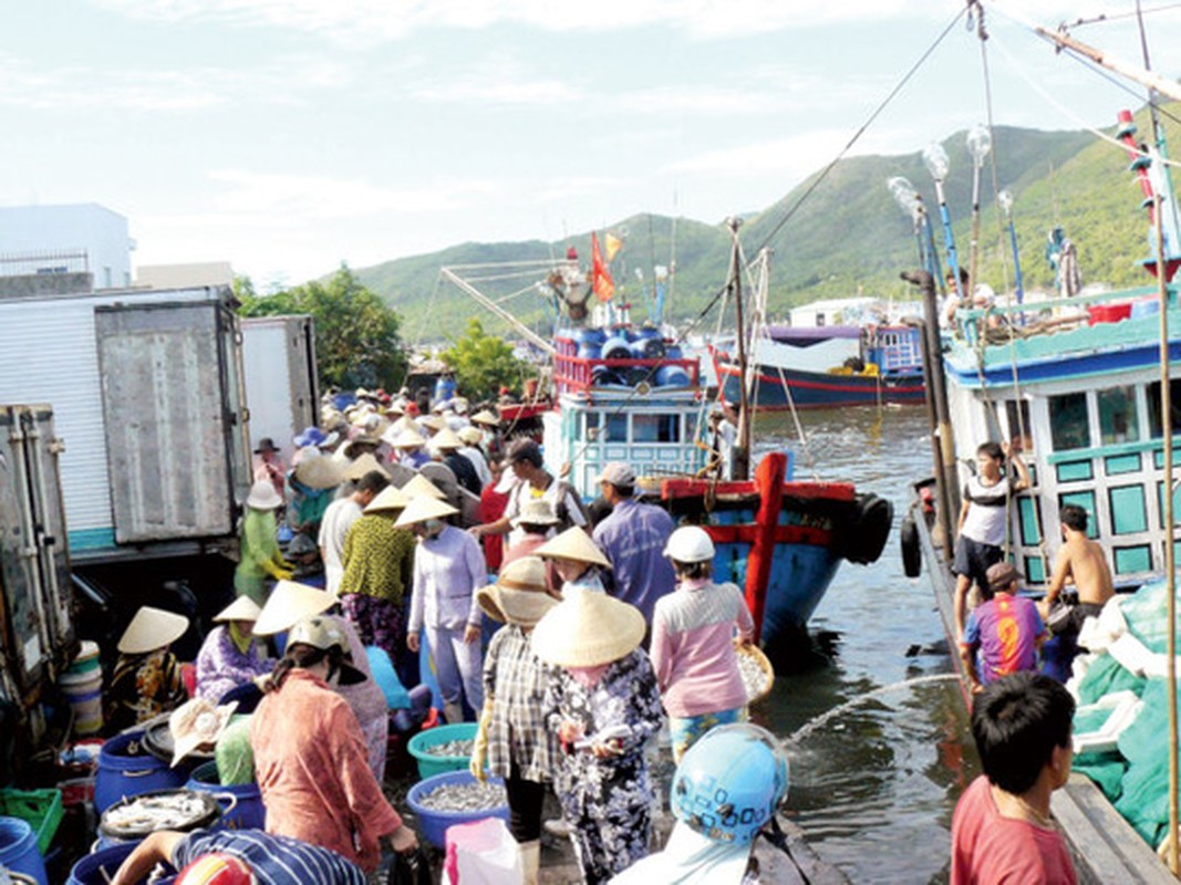 Ron rang mua ca ngu dai duong-Hinh-2