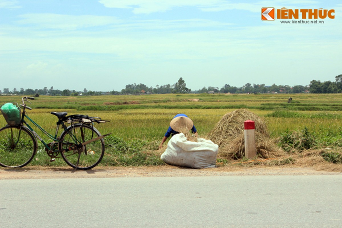 Khoi rom ra hun song nguoi di duong Ha Noi-Hinh-3