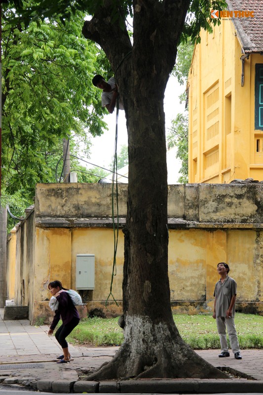 “Nguoi nhen” tai xuat du day hai sau o Ha Noi-Hinh-7