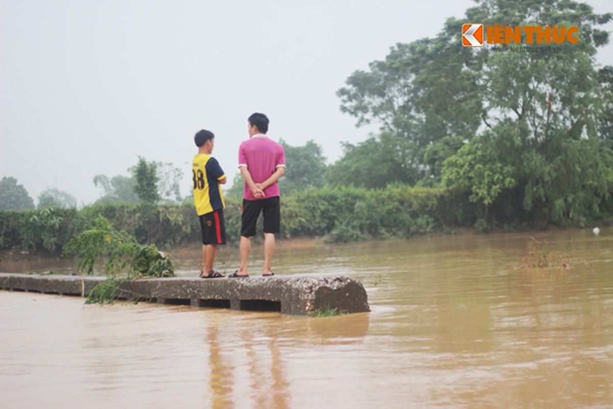 Anh huong mua lon keo dai, lúa, hoa màu của dan ngạp ung-Hinh-6