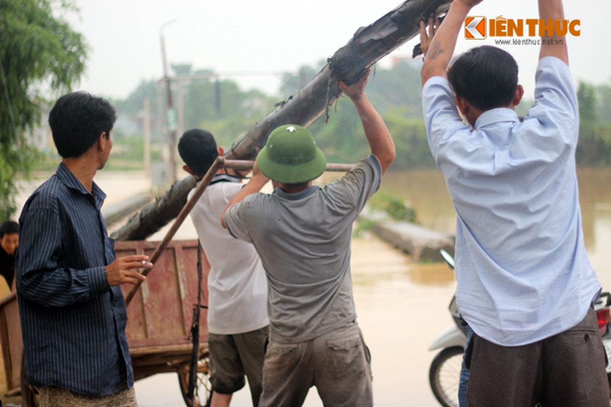 Anh huong mua lon keo dai, lúa, hoa màu của dan ngạp ung-Hinh-8