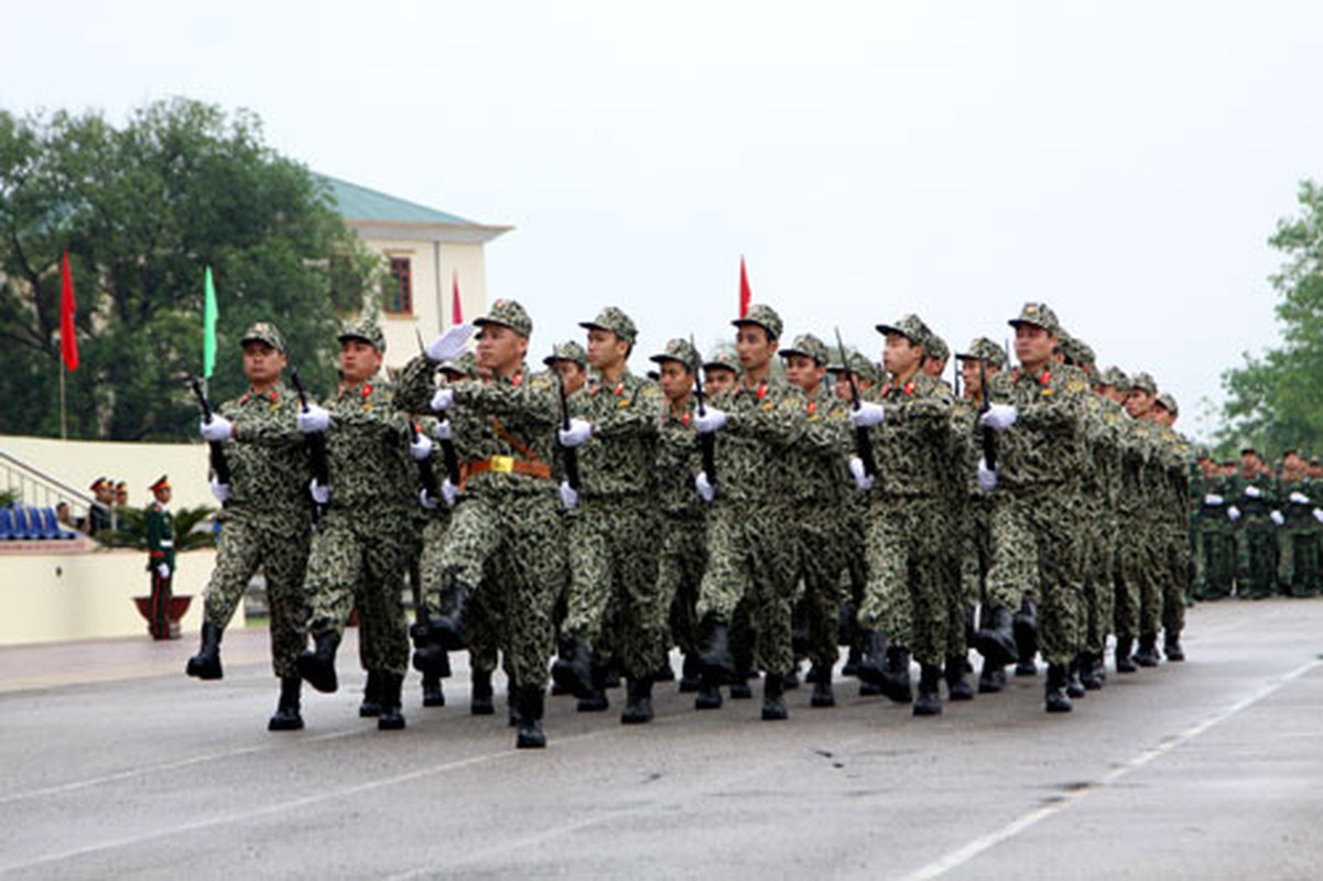 Bo doi Quan khu 1 dieu duyet doi ngu hoanh trang-Hinh-11