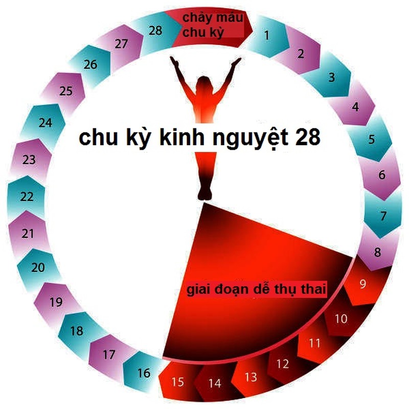 8 bi an ve chu ky kinh nguyet ma dan ong mu tit-Hinh-2