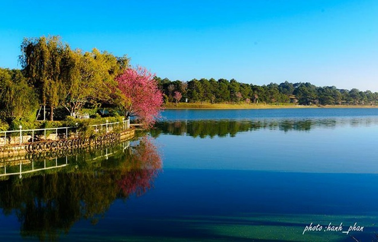 Nhung quan ca phe ngon nuc tieng o Da Lat