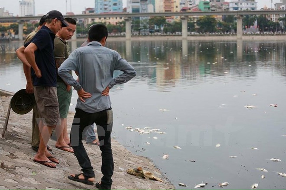 Ha Noi Ca chet bat thuong noi trang ho Hoang Cau-Hinh-3