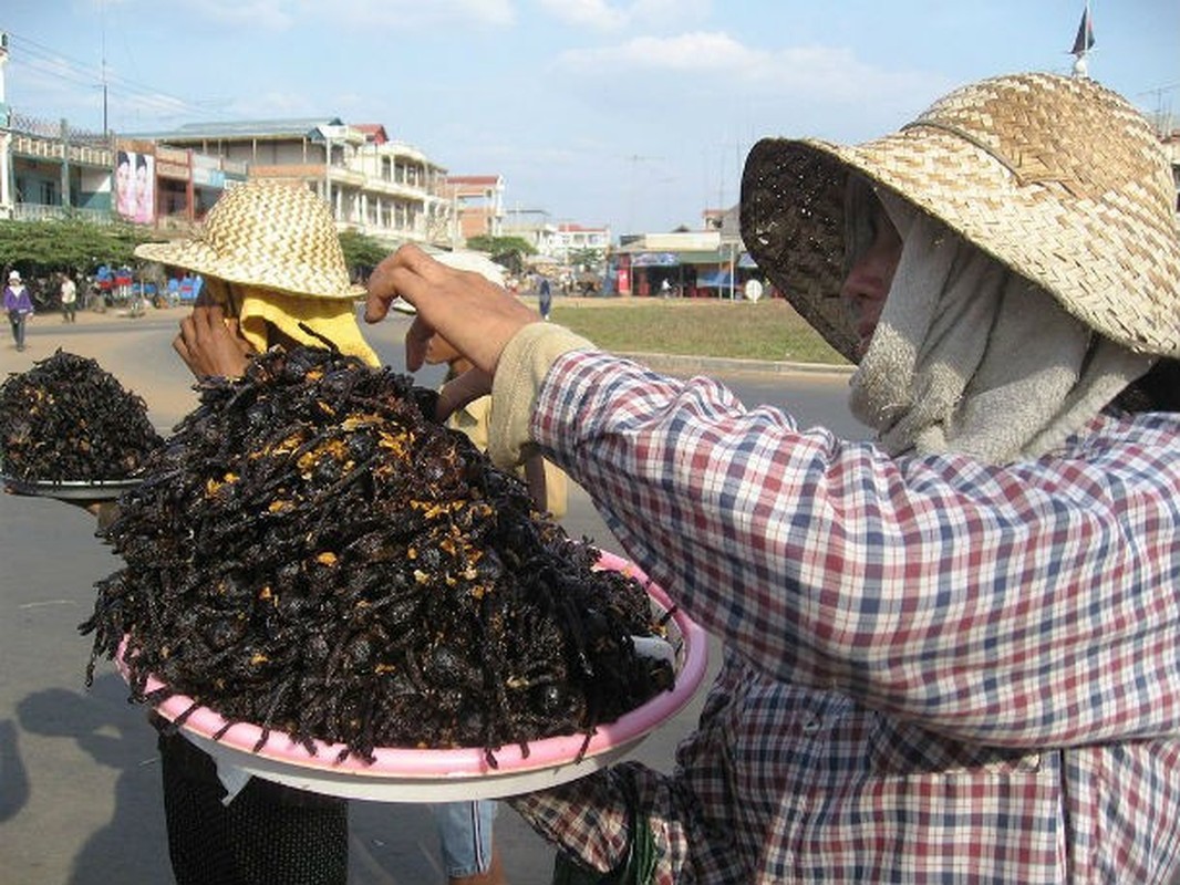 Son da ga nhung mon an kinh di khong tuong-Hinh-8