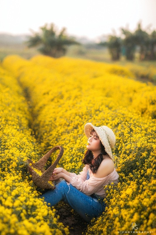 2 canh dong hoa vang ruc dip cuoi nam, la diem hen ly tuong cho nhung ngay nghi Tet Duong lich sap toi-Hinh-4