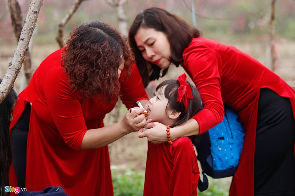 Vuon dao Nhat Tan dong nghit khach chup anh Tet-Hinh-9