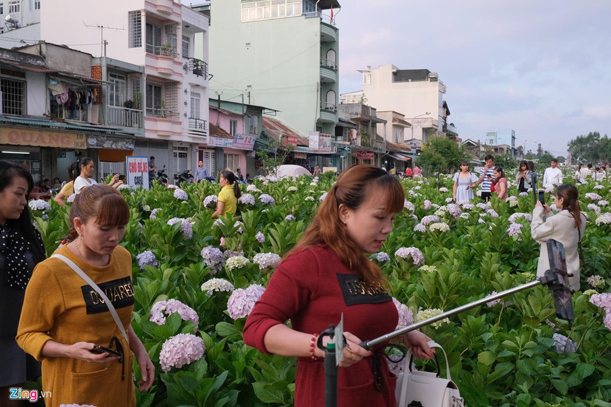 Ngat tho canh “nguoi ngam nguoi” o cac diem den noi tieng cua Da Lat-Hinh-5