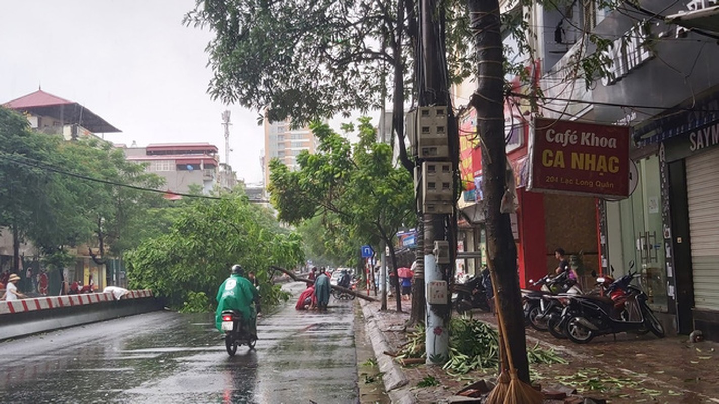 Ha Noi mua lon, hinh anh nhieu o to bi cay do de trung tran ngap MXH-Hinh-4