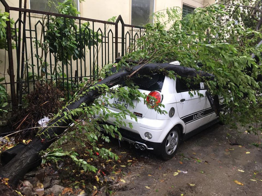 Ha Noi mua lon, hinh anh nhieu o to bi cay do de trung tran ngap MXH-Hinh-7