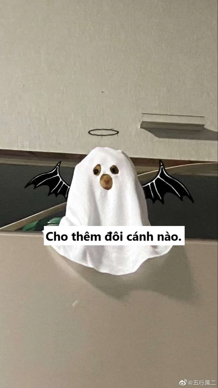 Choi Halloween, cac 