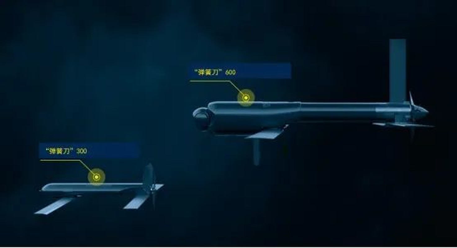 Tac dong cua UAV tu sat doi voi xung dot Nga-Ukraine la gi?-Hinh-14