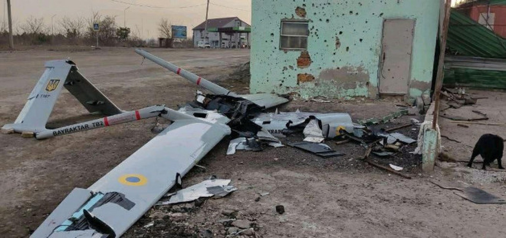 Tai sau UAV cua Ukraine ngay cang mat tac dung?-Hinh-13