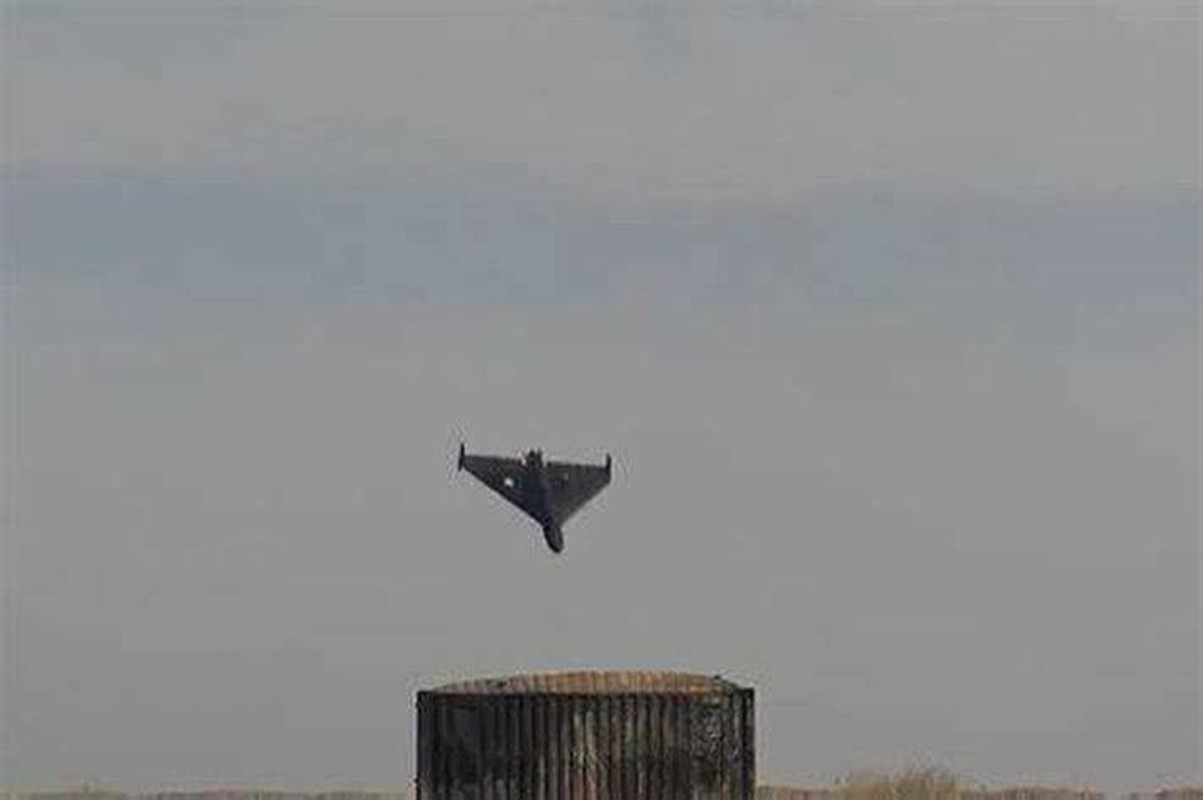 Cuoc chien giua UAV va vu khi phong khong phuong Tay tai Ukraine-Hinh-3