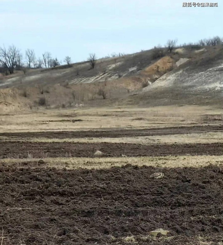 Min chong tang va bun lay la tro ngai lon cho ca Ukraine va Nga-Hinh-10