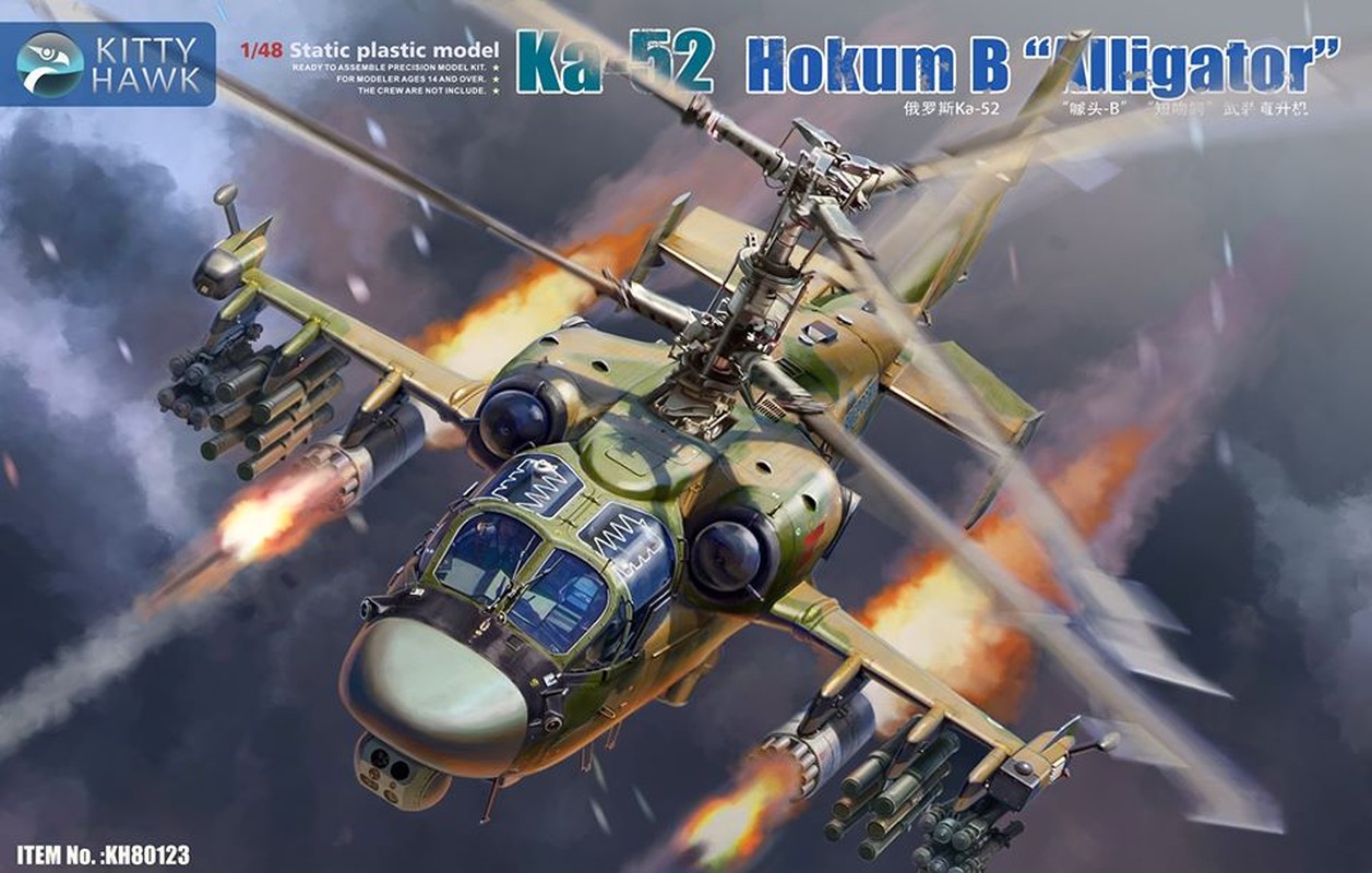 Khong quan Nga xuat kich 100 lan moi ngay, 40 Ka-42 bi ban ha-Hinh-10