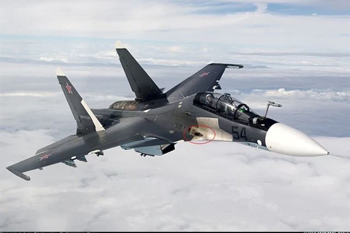 Su-30SM dung phao danh chim tau Ukraine: Lo anh that tu buong lai-Hinh-11