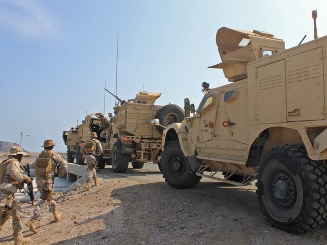 Choang voi gian vu khi duyet binh cua dan quan Houthi o Yemen-Hinh-9
