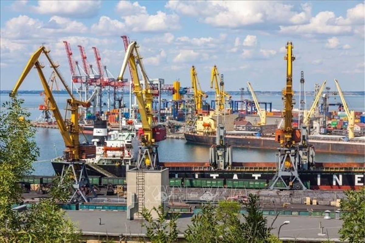 Nga se tan cong ngay quan doi Phap neu dam do bo vao Odessa-Hinh-4