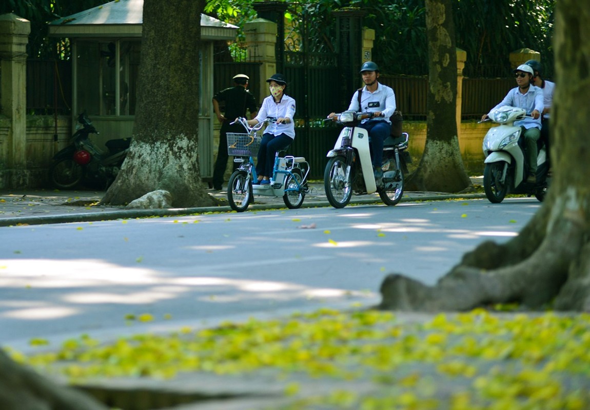 Dep nao long Ha Noi nhung ngay giao mua sang thu-Hinh-7