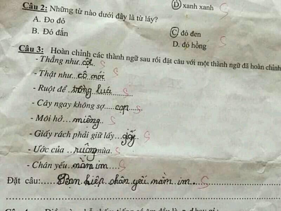 Hoc sinh tieu hoc tu che thanh ngu, co giao 