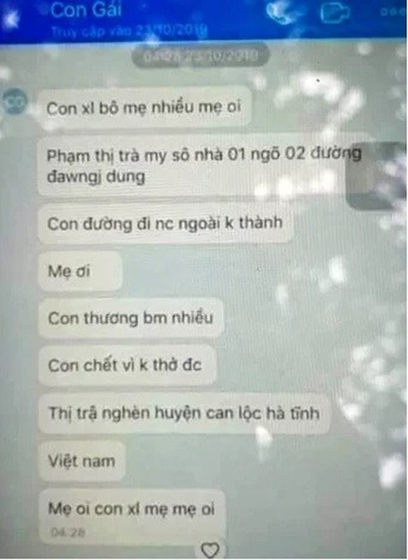 Co gai Ha Tinh nghi chet trong container o Anh: Em trai giai thich vu quyen gop-Hinh-3