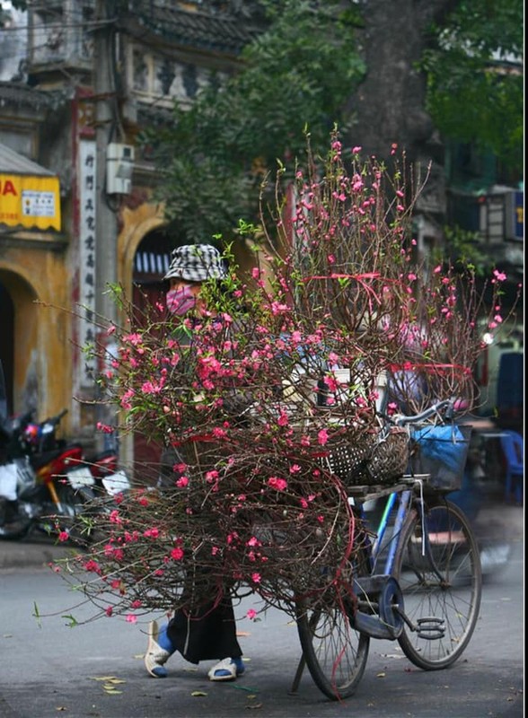 Boi hoi nho Tet xua qua chum anh xum vay, dam net ngay xuan Bac bo