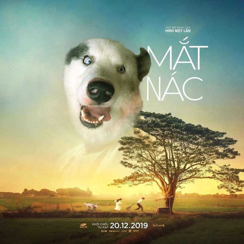 Phat met anh che poster “Mat biec”, HLV Park Hang-seo cung la nan nhan-Hinh-5