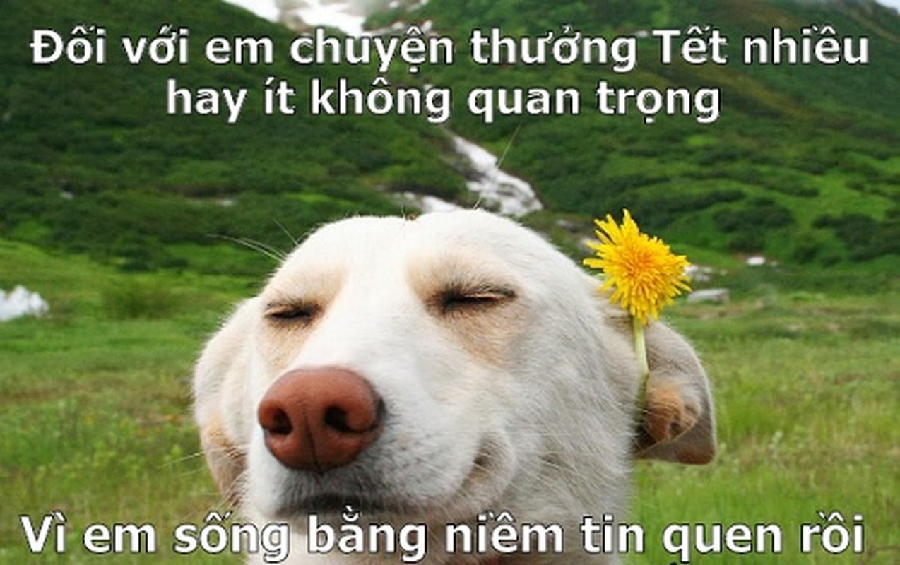 Phien long thuong tet cuoi nam: Noi buon chang biet keu ai-Hinh-6