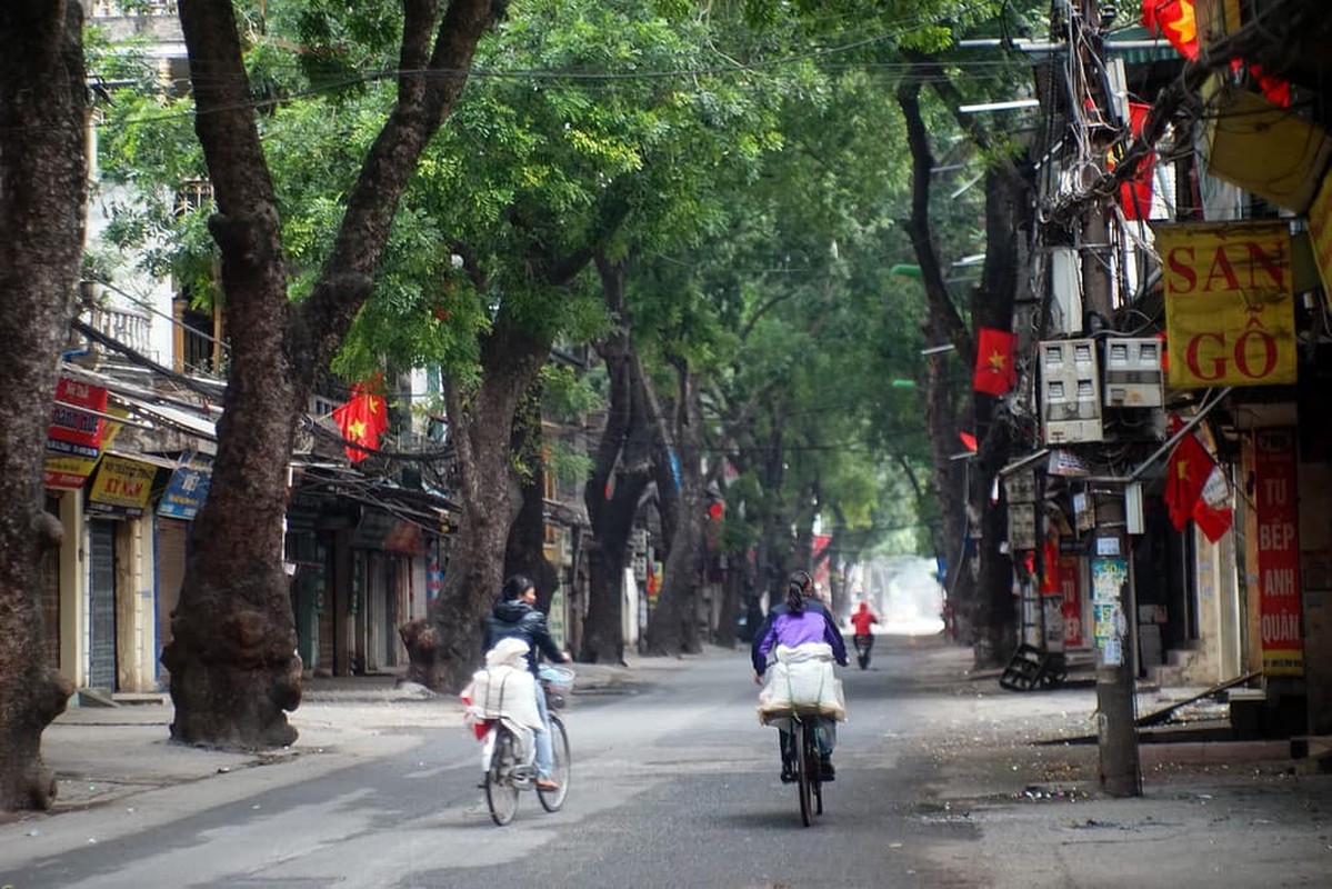 Boi hoi ngam chum anh Ha Noi tinh lang, dep la ngay Tet-Hinh-5