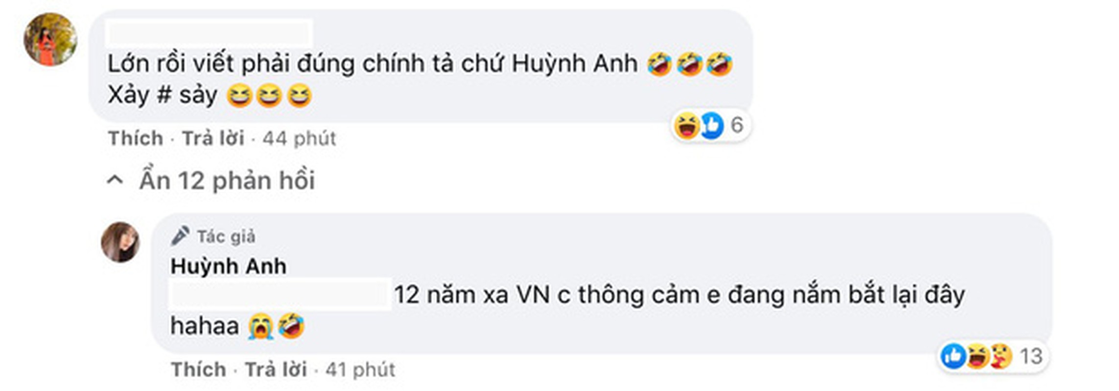 Viet sai chinh ta co ban, ban gai Quang Hai giai thich nhu dua-Hinh-4