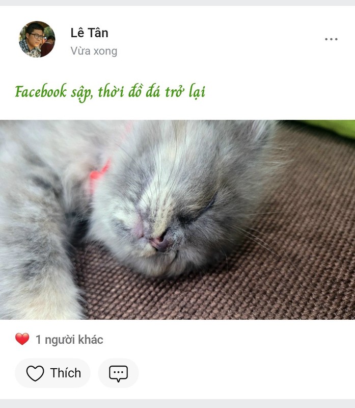 Facebook sap toan cau, netizen Viet bat ngo goi ten ung dung nay-Hinh-9