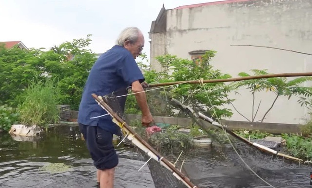 View - 	Độc lạ ao cá trên nóc nhà của cụ ông 89 tuổi Hải Dương