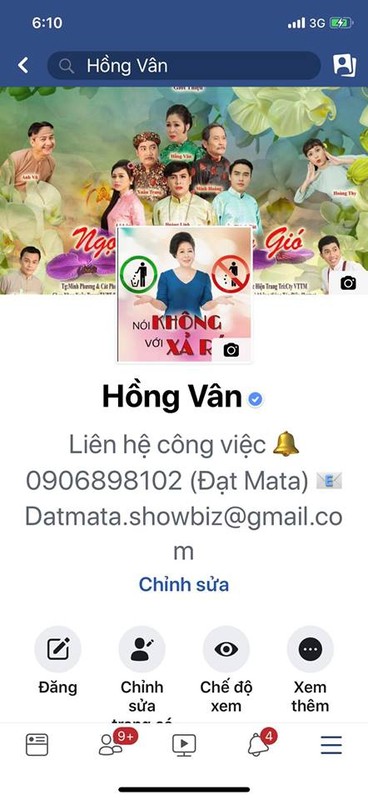 Buc xuc Facebook gia mao sao Viet keu goi ung ho Le Binh, Mai Phuong-Hinh-3